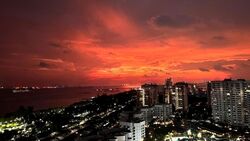 Seaside Residences (D15), Apartment #537834821
